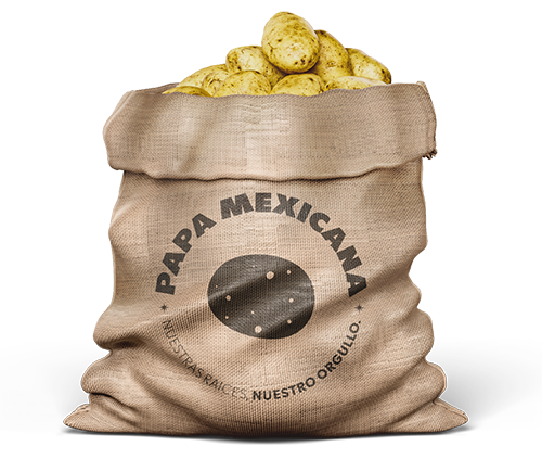 Papa mexicana.