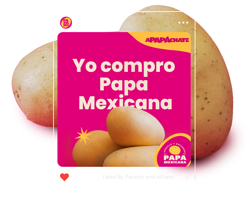 Yo compro papa Mexicana.